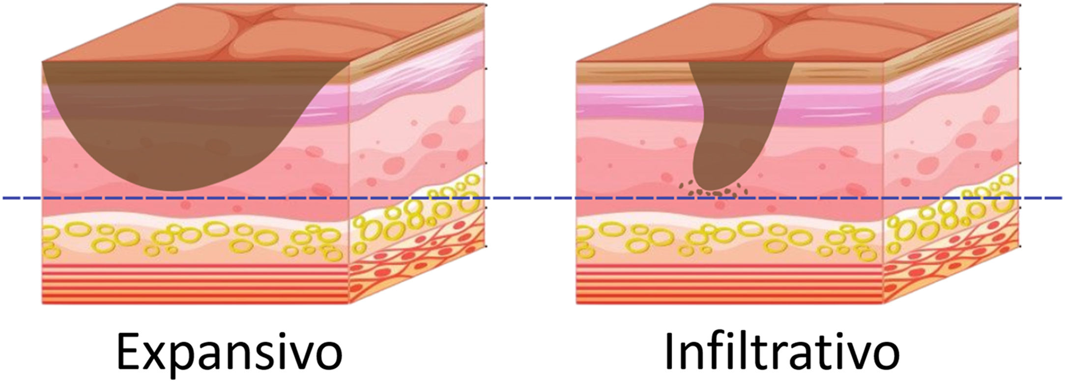 fig0005