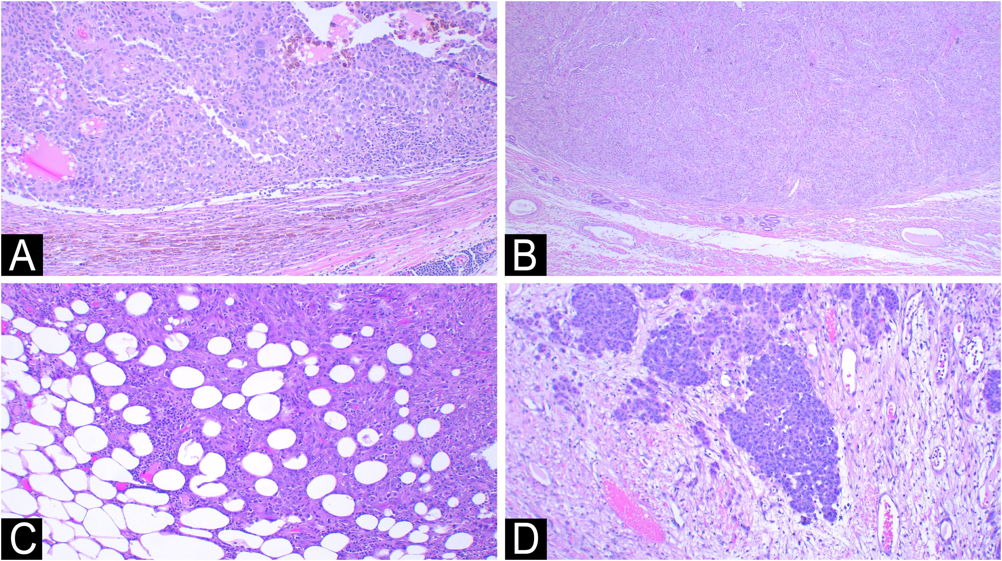 fig0010
