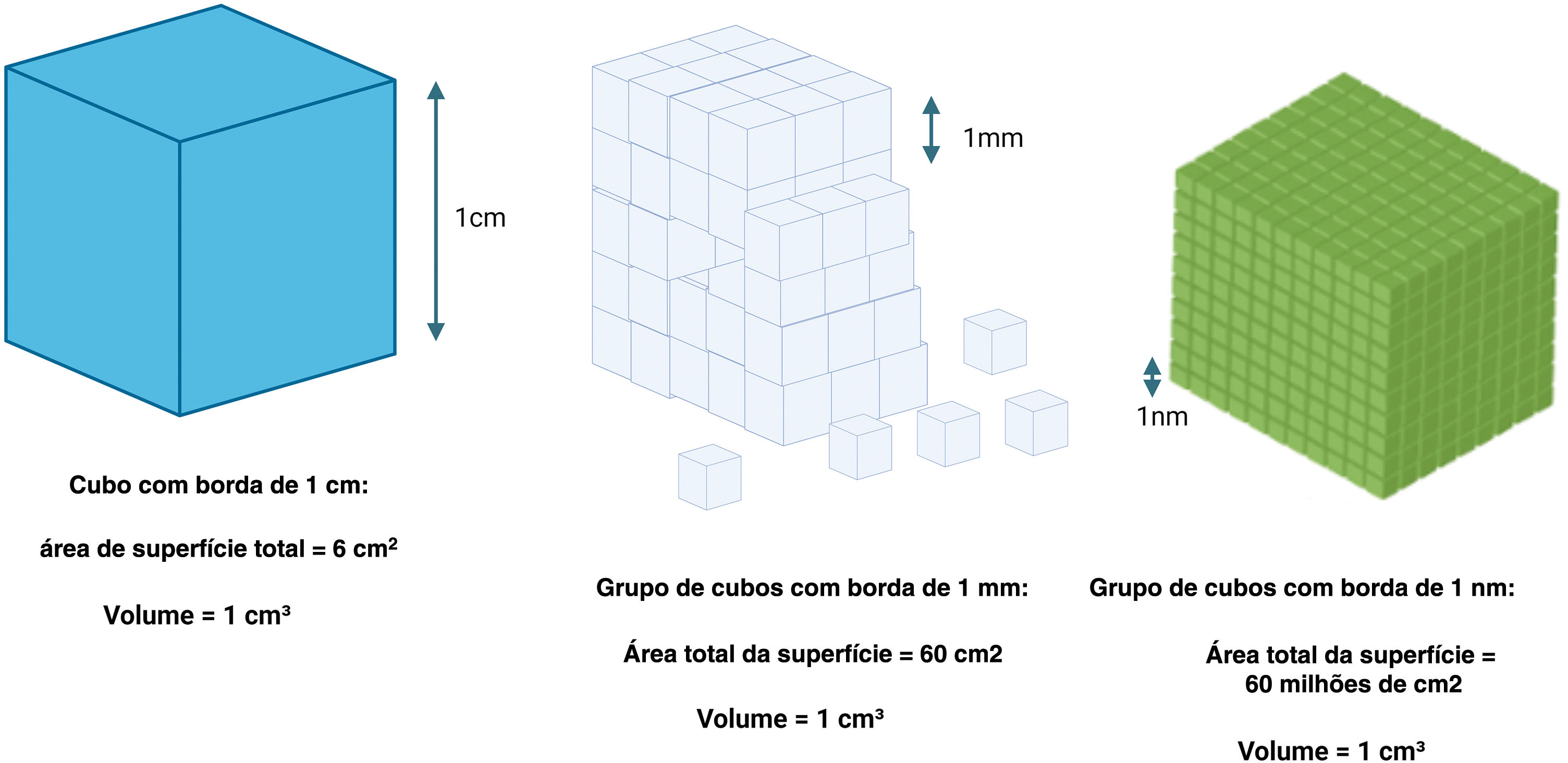 fig0015