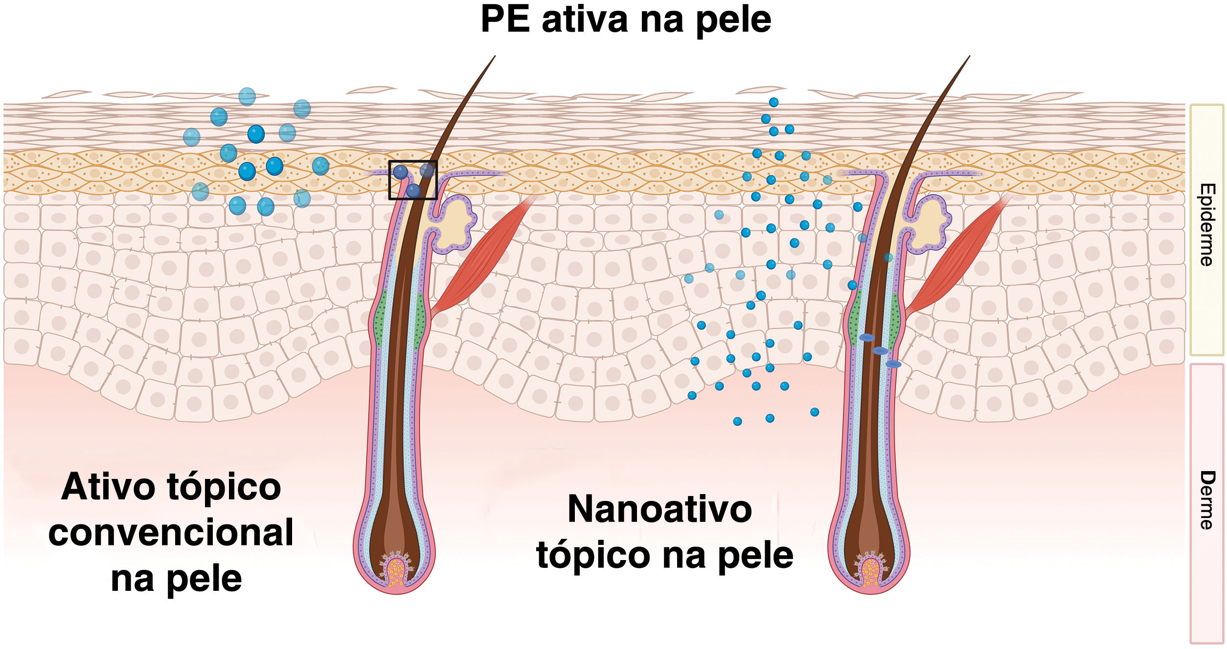 fig0020