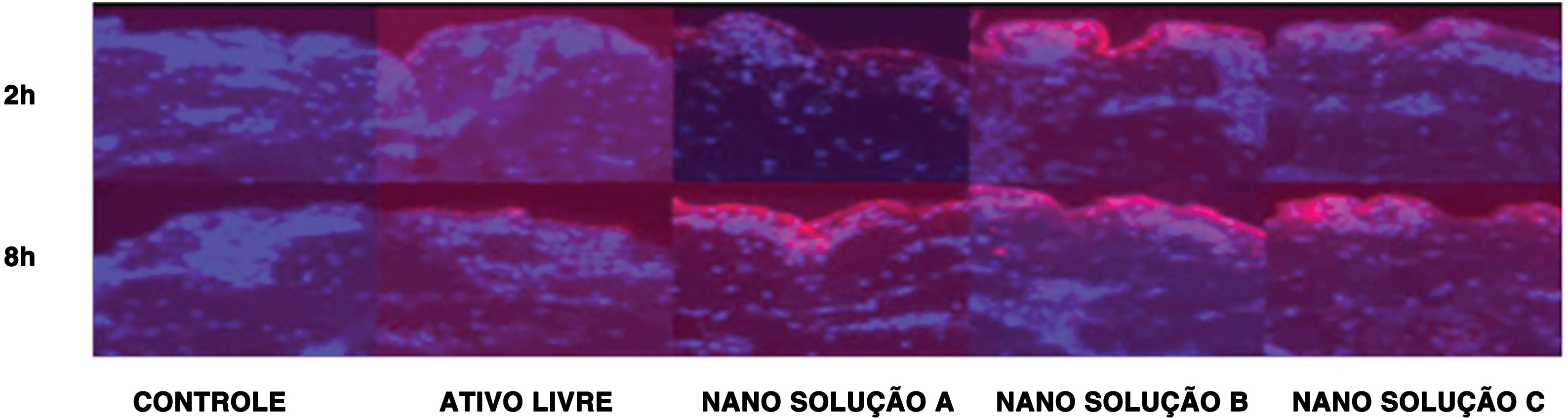 fig0025