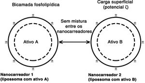 Representação esquemática de nanocarreadores lipossomais que possibilitam o encapsulamento de múltiplos ativos em uma única formulação tópica.