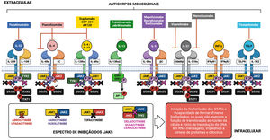 Principais citocinas envolvidas na patogênese da dermatite atópica, sinalização intracelular do sistema JAK‐STAT, medicamentos biológicos e pequenas moléculas utilizados no tratamento da dermatite atópica.