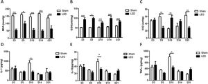 E Efeito da terapia com LED no estado REDOX e citocinas inflamatórias. Principais níveis (±DP) de (A) MDA, (B) GSH, (C) SOD, (D) IL‐1β, (E) IL‐10 e (F) TNF‐α de acordo com os grupos experimentais durante os diferentes períodos de análise. Asteriscos denotam resultados significantes.