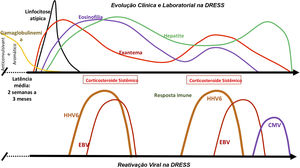 Evolução clínica e laboratorial do DRESS. Reativação sequencial da família Herpesviridae, após hipogamaglobulinemia progressiva, já classicamente demonstrada em pacientes em uso de anticonvulsivantes aromáticos, contribuindo para a recrudescência das manifestações clínicas e laboratoriais, mesmo após a retirada do medicamento desencadeador da DRESS.