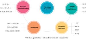 Citocinas, quimiocinas e fatores de crescimento no queloide. Existem muitos tipos diferentes de citocinas, quimiocinas e fatores de crescimento envolvidos na patogênese do queloide.