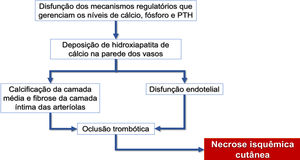 Fluxograma da sequência de eventos relacionados à fisiopatologia da calcifilaxia: calcificação de arteríolas, lesão endotelial e consequente oclusão trombótica desses vasos. Essas alterações causam isquemia e necrose do tecido subcutâneo, com surgimento de úlceras necróticas nos estágios mais avançados. PTH, paratormônio.