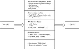 Pathophysiological pathways between obesity and asthma in children and adolescents. IL-6, interleukin-6; TNFα, tumour necrosis factor α; AHR, airway hyperresponsiveness; FRC, functional residual capacity; FVC, forced vital capacity; FEV1, forced expiration volume in 1 second; VT, tidal volume; ROS, reactive oxygen species; SOD, superoxide dismutase; GSH-Px, glutathione peroxidase; MDA, malondialdehyde; FeNO, exhaled nitric oxide; SDB, sleep-disordered breathing; GERD, gastroesophageal reflux disease.