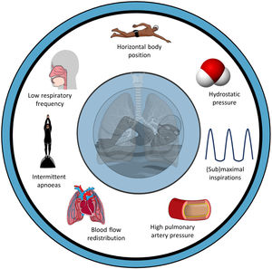 Factors inherent to the practice of swimming related to the stress on respiratory function.