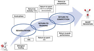 Process for return to competition following anterior cruciate ligament reconstruction in team sport athletes (continuum). FMS: fundamental motor skill; SSS: sport-specific skill; ADL: Activities of daily living.