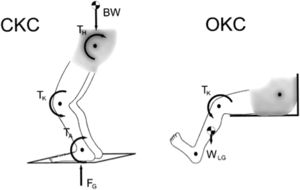The difference between OKC and CKC exercises. Reference: Fleming BC, Oksendahl H, Beynnon BD. Open- or closed-kinetic chain exercises after anterior cruciate ligament reconstruction? Exerc Sport Sci Rev. 2005 Jul;33(3):134–40.