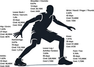 Graphical representation of cost and percentage distribution by body region.