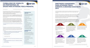 – Health care provider consultation form for prenatal physical activity – Brazil download.