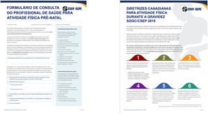 – Health care provider consultation form for prenatal physical activity – Portugal download.