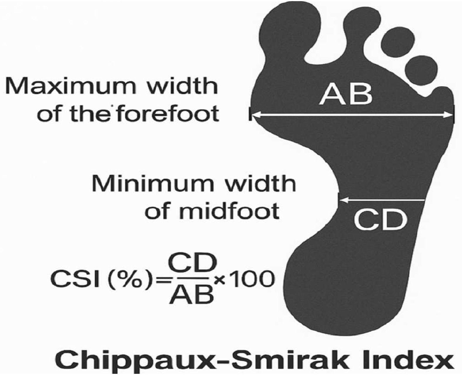 fig0001