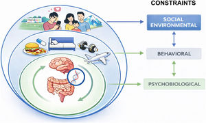 Levels of nested constraints related through circular causality. Top level: social-environmental constraints, Middle level: behavioral constraints, Bottom level: psychobiological constraints. The double arrow between the constraints’ levels shows the circular causality property. Adapted from Prieto A, Lizarraga MA, Balagué N. Nutrients. 2025;17(23).