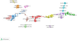 Co-authorship network.