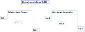 Resumen de la metodología del estudio. Eco 1: en preoperatorio. Eco 2: 10 minutos tras la punción dural en caso de anestesia raquídea o inducción e intubación en caso de anestesia general. Eco 3: una vez recuperado de la anestesia, al alta de la Unidad de Recuperación Postquirúrgica (ya sin bloqueo motor o al menos con movilidad de la rodilla).