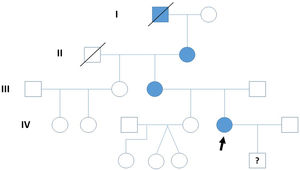 Pedigree chart showing four generations of the family. Only documentary evidence is available for the first generation. The arrow indicates the index patient.