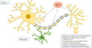 Acidul ascorbic (vitamina C) și efectele sale farmacologice în neuronii nociceptivi și microglia.  5-HT: serotonină;  CRP: proteină C reactivă;  DA: dopamină;  IF: interferon;  IL: interleukină;  NE: norepinefrină;  NMDA: N-metil-D-aspartat;  TNF: factor de necroză tumorală;  vit.  C: vitamina C.