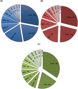 Frequency of variants identified. Pie chart A shows the distribution by gene of all the variants (n = 355) identified in the population studied. Pie chart B shows the distribution by gene of the pathogenic/likely pathogenic (n = 176) variants identified in the population studied. Pie chart C shows the distribution by gene of the Variants of Unknown Significance identified in the population studied (n = 179). AGA/GAA: Acid Alpha-Glucosidase, ANO5: Anoctamin 5, CAPN3: Calpain 3, CAV3: Caveolin 3, DYSF: Dysferlin, FKRP: Fukutin-Related Protein, HNRPDL: Heterogeneous Nuclear Ribonucleoprotein D Like, SGCA: Alpha Sarcoglycan, SGCB: Sarcoglycan Beta, SGCD: Sarcoglycan Delta, SGCG: Sarcoglycan Gamma, TCAP: Telethonin.