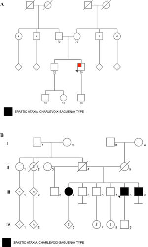 A. Pedigree of family 1 (Patient 1). B. Pedigree of family 2 (patients 2, 3, & 4).