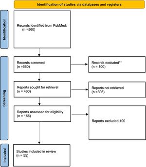 Flow diagram from the article obtention in the systematic review.