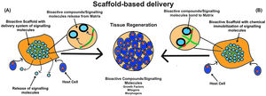 Schematic representation of the two main tissue engineering bioactive scaffold strategies used to present bioactive compounds/signalling molecules (Growth factors, mitogens, morphogens) to host tissue in order to promote tissue regeneration. (A) Physical encapsulation of the growth factors in the delivery system. This strategy will achieve an in-demand release of the signalling molecules to the surrounding tissue. (B) Chemical immobilisation of the growth factor into or onto the matrix. This involves the affinity or chemical interactions between the growth-factor-containing polymer substrate and the surrounding tissue.