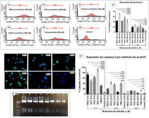 Induction of apoptotic cell death secondary to ortho-coumaric acid alkyl esters (OCCAE). A1–A6) Results of flow cytometry testing for annexin V and propidium iodide to detect apoptosis in the monolayer culture of glioblastoma multiforme (GBM) cells exposed for 6 h to the study compounds. A7) Percentage of cells positive for annexin V in the different study groups in triplicate, at 3 and 6 h of exposure. Data are expressed as mean (SD) with differences significant at ***P < .001 and ****P < .0001 versus the control group. B1–B6) Expression of active caspase-3 secondary to OCAAE exposure. Immunofluorescence labelling of active caspase-3 (green) in the 3D culture of GBM cells exposed to OCAAE for 6 h. DAPI labelling of cell nuclei (blue). B1: MOC (300 μM); B2: EOC (300 μM); B3: POC (300 μM); B4: BOC (200 μM); B5: TMZ (600 μM); B6: control. Images shown at 40× magnification; scale bar measures 50 μm. B7) Percentage of cells expressing caspase-3 in a total of 30 fields counted in each group. Data are expressed as mean (SD) with differences significant at ***P < .001 and ****P < .0001 versus the control group. C) DNA ladder study in agarose gel to detect cell death after 12 h' exposure to OCAAEs. MW: molecular weight in base pairs. A: BOC (200 μM); B: IOC (200 μM); C: MOC (300 μM); D: POC (300 μM); E: EOC (300 μM); F: TMZ (600 μM); G: vehicle (DMSO); H: control (culture medium). (For interpretation of the references to colour in this figure legend, the reader is referred to the web version of this article.)