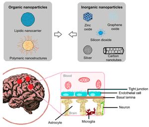 Nanomaterials used in Neisseria meningitidis infection. A) Some of the nanoparticles used in the development of nanosensors and nanocarriers for the diagnóstico and treatment of N. meningitidis infection, respectively. B) Diagram of the blood–brain barrier, which the bacterium must cross in order to cause meningitis, and which nanomaterials must cross in order to treat the disease.