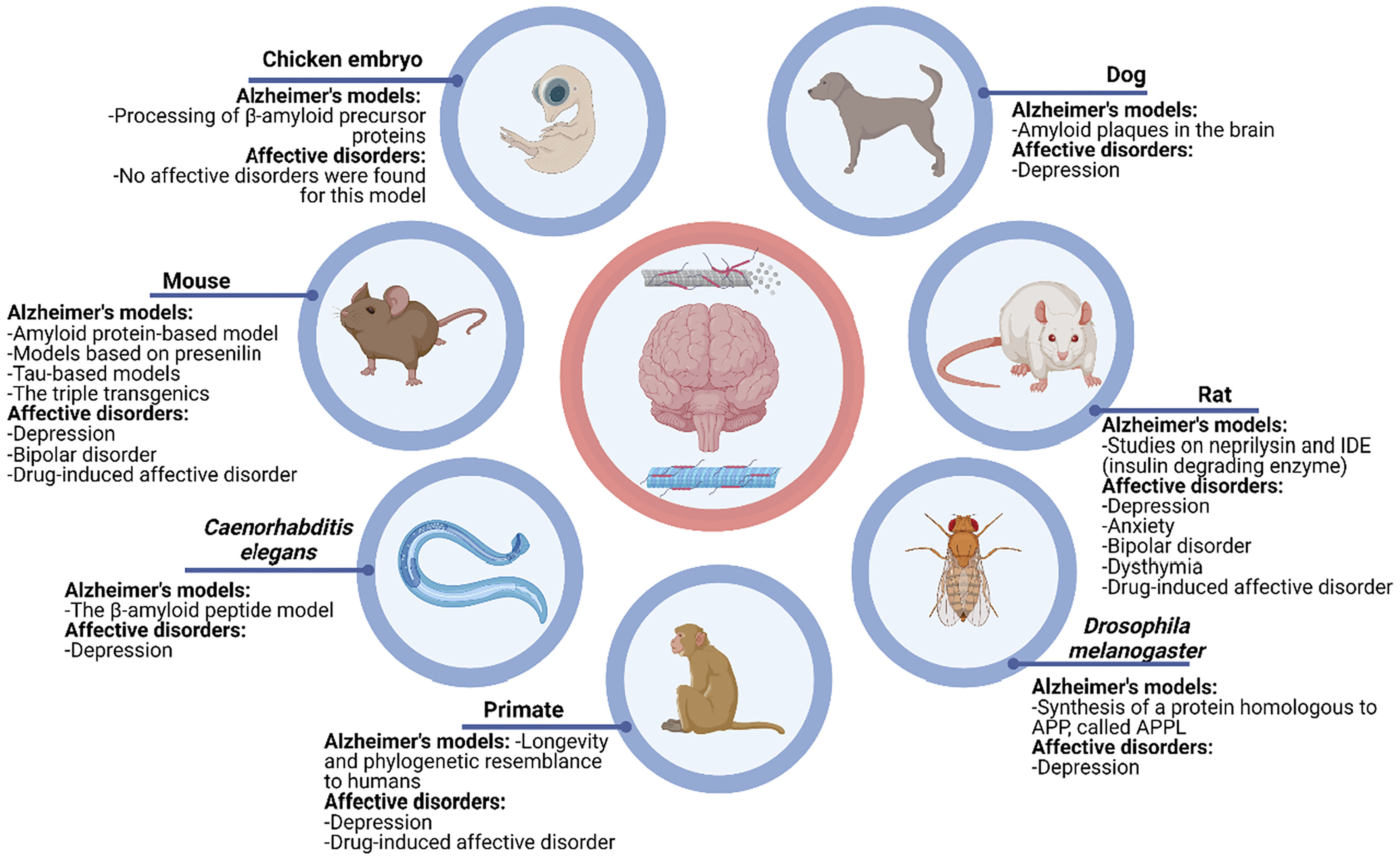 Animal models in Alzheimer's disease: Biological plausibility and mood ...