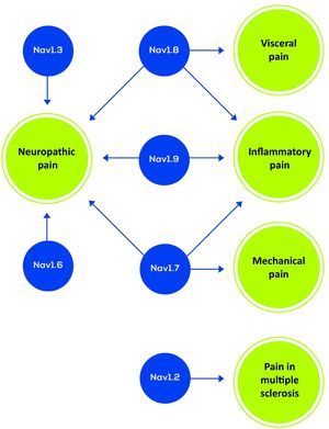 Voltage-dependent sodium channel subtypes and associated pain syndromes (adapted from Álcantara Montero et al.2).