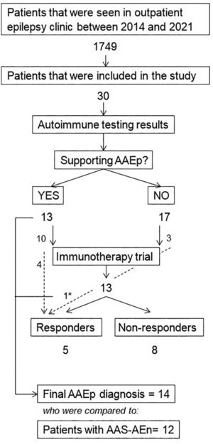 Flowchart. A total of 1749 patients were seen in the outpatient epilepsy clinic between 2014 and 2021. In 30 of them, autoimmune testing was performed due to clinical suspicion of autoimmune-associated epilepsy, achieving supporting results in 13. Of the 30 patients with clinical suspicion of autoimmune-associated epilepsy that were included in the study, an immunotherapy trial was performed to 13 (10 of the 13 patients with supporting autoimmune testing and 3 of the 17 patients with normal results). Therapeutic response was obtained in 5 of them, including 4 of the patients with positive autoimmune testing and the 1 patient (*) who had normal results. Eight patients were non-responders. Autoimmune-associated epilepsy was diagnosed in 14 patients: the 13 patients with supporting autoimmune testing and the patient who responded to immunotherapy despite normal results. The 14 patients who were finally diagnosed with autoimmune-associated epilepsy were then compared to 12 patients with acute symptomatic seizures secondary to autoimmune encephalitis.