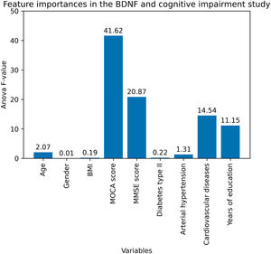 Feature importances in the BDNF and cognitive impairment study, ANOVA F-value analysis.