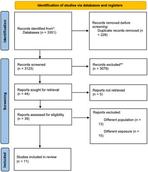PRISMA flow diagram.