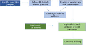 Process of consensus method used.
