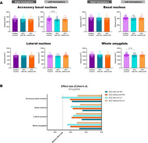 Volumetric changes (A) and effect size (B, Cohen