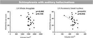Bilateral correlations between the total PSYRATS score and the volumes of those amygdaloid nuclei that were affected in patients with schizophrenia with and without auditory hallucinations (Spearman