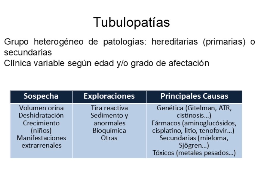 Realizar breve recordatorio de función tubular: TP, AH, TD y TC
Suponen un conjunto muy numeroso y heterogéneo de anomalías (hereditarias o secundarias) que afectan a una o varias funciones de los túbulos renales.
En todos los casos hereditarios son consideradas como enfermedades raras.  Las secundarias son más frecuentes en adultos (fármacos/tóxicos y/o asociadas a patología sistémica)
Las manifestaciones dependerán de la función/es afectadas. A nivel clínico se suele relacionar con la edad infantil (poliuria, afectación del crecimiento¿), mientras que en el adulto es habitual iniciar el estudio/diagnóstico tras hallazgos analíticos alterados (hipopotasemia, hipomagnesemia, hipofosfatemia¿)