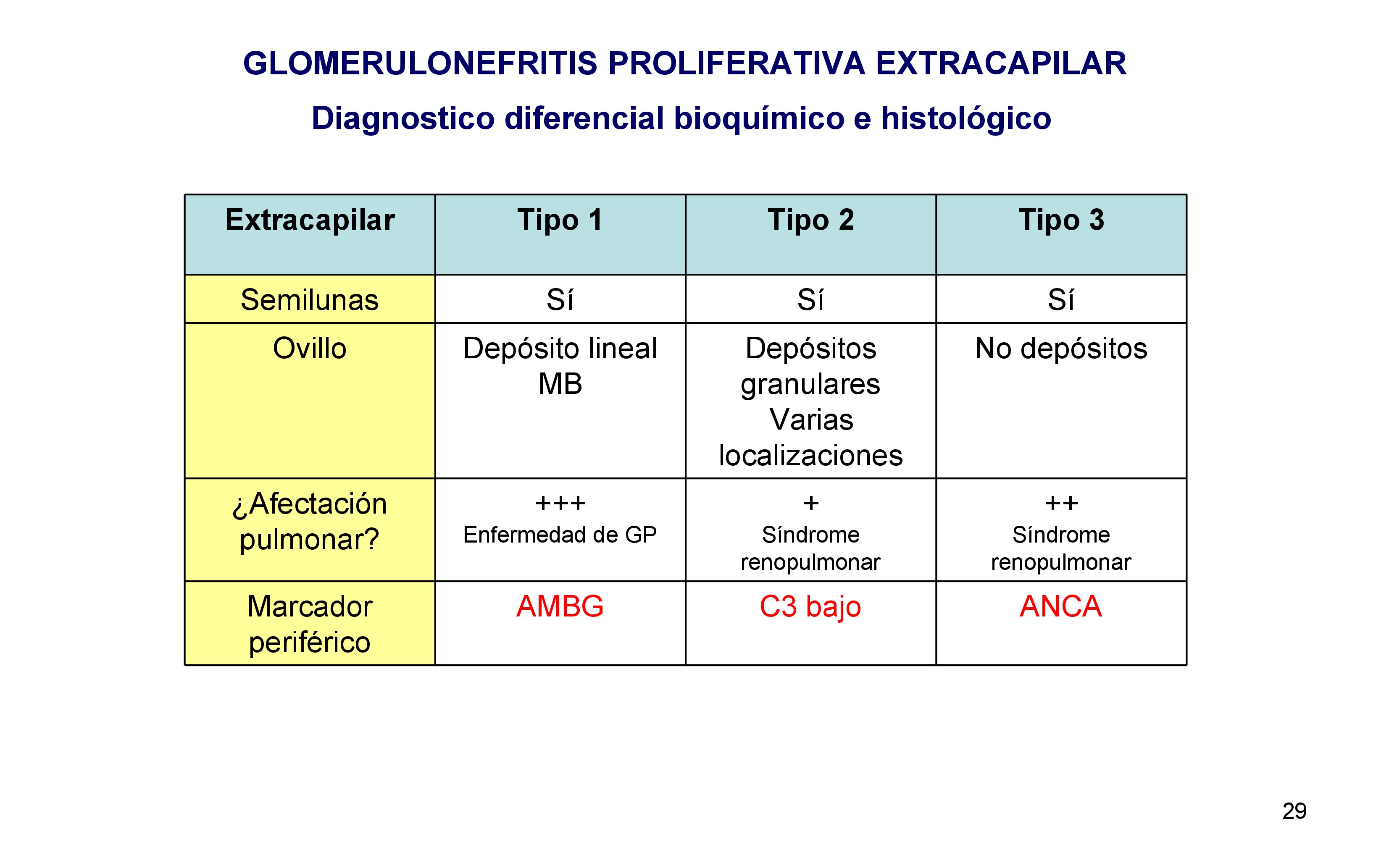 Cuadro resumen los tres tipos de glomerluonefritis extracapilares. 