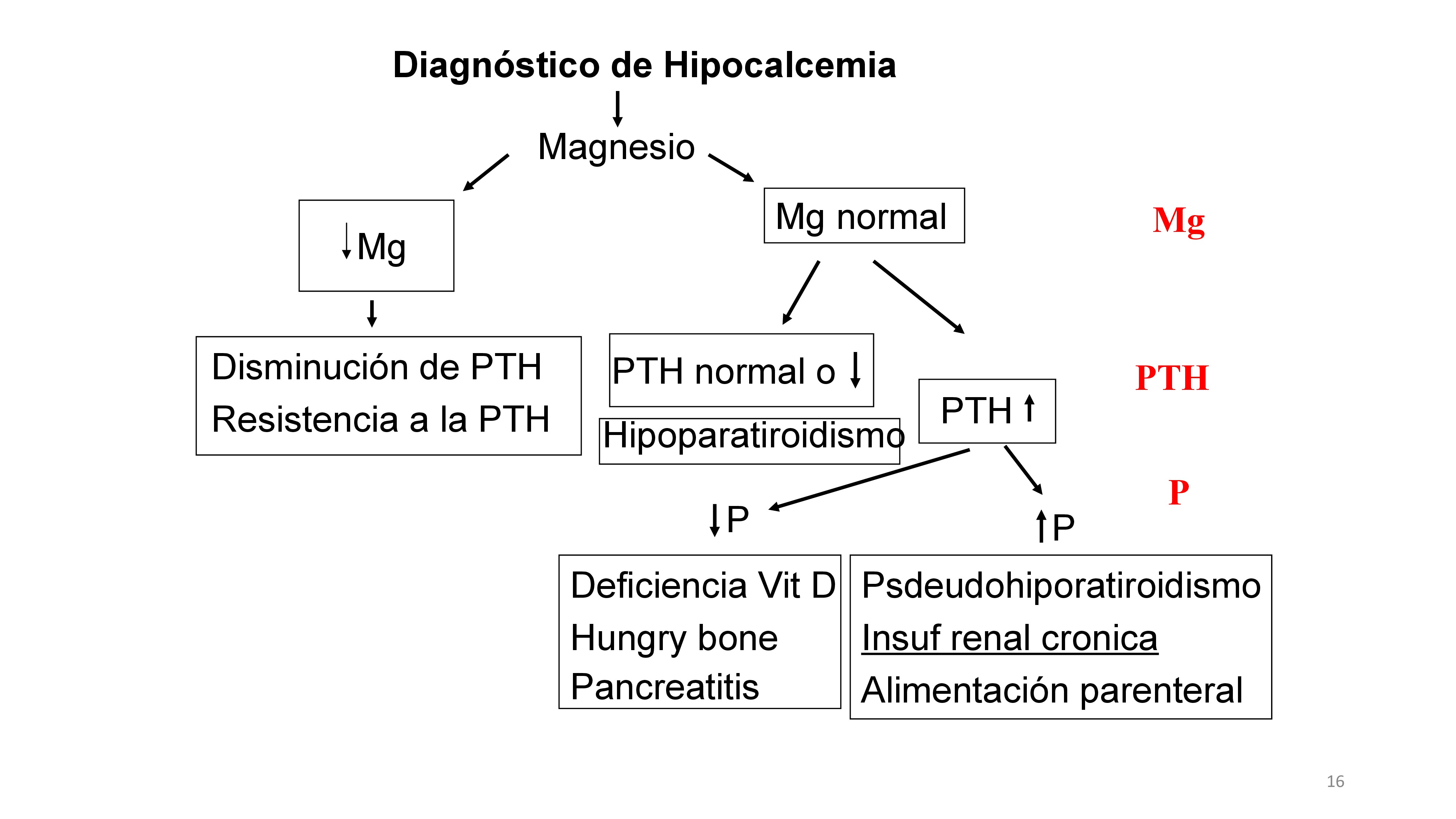 Para diagnosticar hipocalcemia propongo el siguiente esquema:1-Descartar una marcada disminución de Magnesio que interfiere con la producción de PTH y con la acción calcémica de la PTH.2-El siguiente paso es medir la concentración de PTH que puede ser baja lo cual indica hipoparatiroidismo pero también puede indicar hipoparatiroidismo si teniendo un calcio bajo no se detecta un aumento de PTH ya que las paratiroides han de producir más PTH en presencia de hipocalcemia. 3-Si la PTH es elevada hay que determinar los niveles de fosfato (P) sérico. En el caso de que el P sea bajo podría existir deficiencia de Vit D que causa de disminución de la absorción intestinal de P y Ca. También puede existir un hueso que incorpora gran cantidad de calcio ¿hueso hambriento¿ que se observa cuando hay descenso rápido de del remodelado oseo por ejemplo cuando hay descenso rápido de la PTH. En las pancreatitis puede ocurrir deposición de Ca y P junto con lípidos en tejido pancreático pero también existen evidencia de que disminuye la producción de PTH y es posible que esta ultima sea la causa fundamental de la hipocalcemia. Si el P es alto podría existir pseudohipoparatiroidismo que es un defecto genético de la proteína G ligada al receptor de la PTH. Una de las causas más frecuentes de hipocalcemia es la insuficiencia renal crónica que es causada por una resistencia del hueso a la acción de la PTH y el alto P es en parte responsable de que exista resistencia esquelética a la acción del PTH. Una alimentacion parenteral con poco mucho P puede producir una reducción el los niveles de Ca.