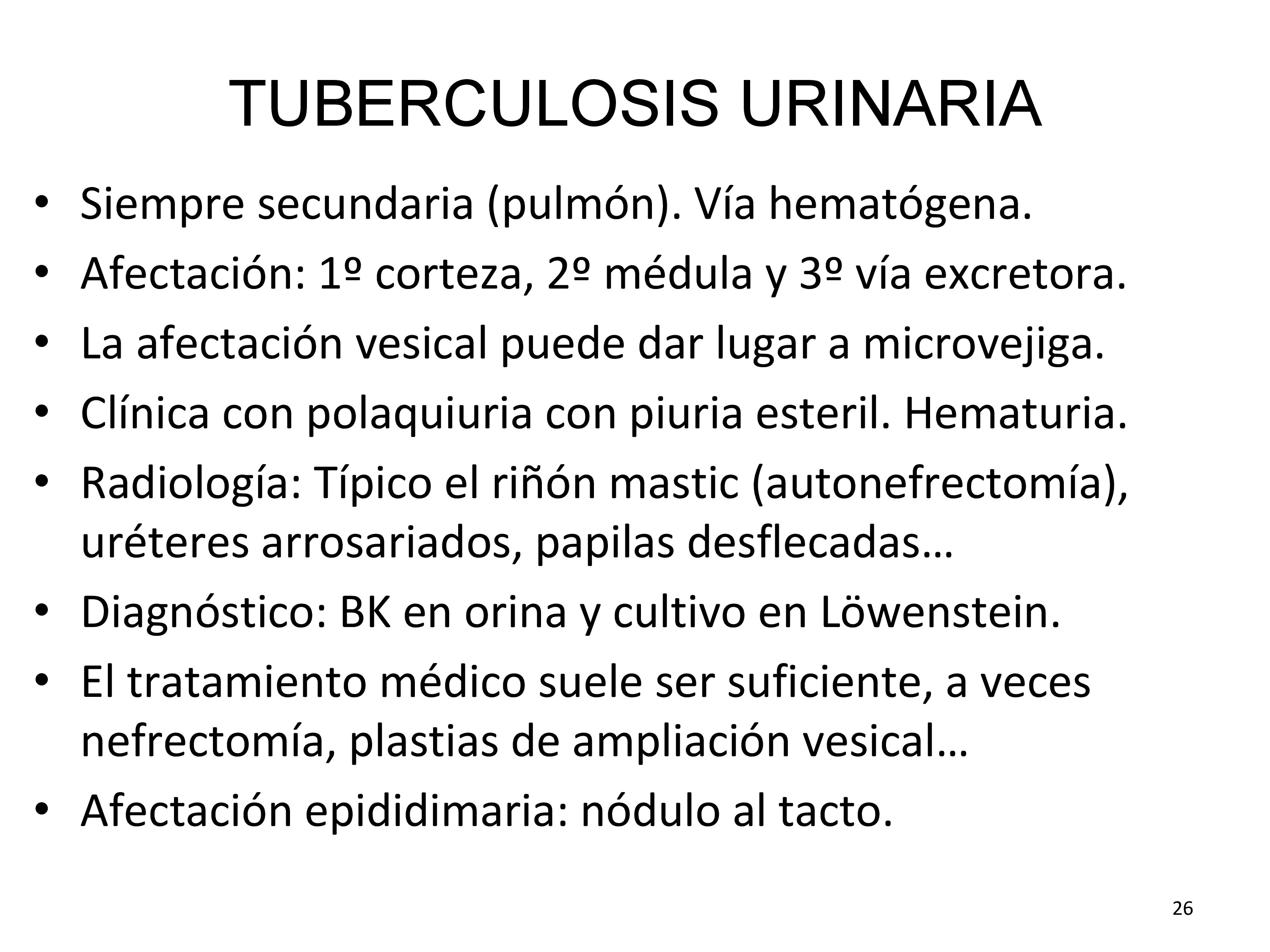 La anatomía patológica muestra en riñón úlceras, necrosis papilar, calcificaciones, estenosis de los cálices, de la unión pielo ureteral o de la unión urétero vesical, esclerosis del detrusor.