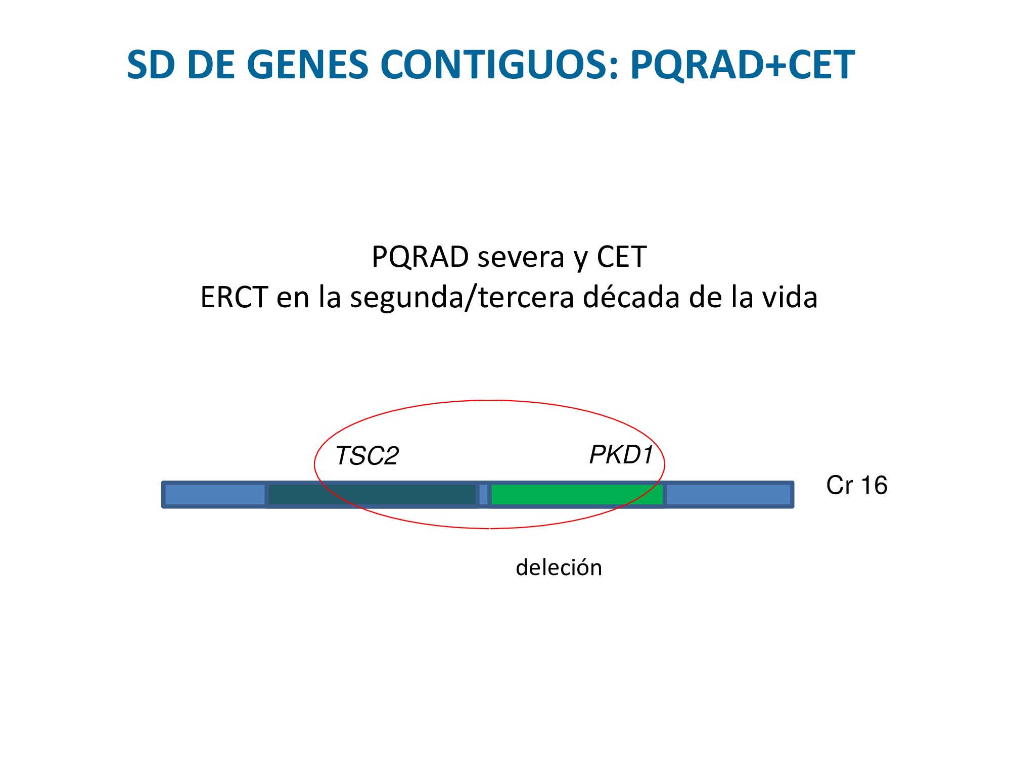 Deleción (pérdida de material genético) que afecta la gen TSC2 y PKD1. Tiene un CET grave y una PQRAD más grave de lo habitual.