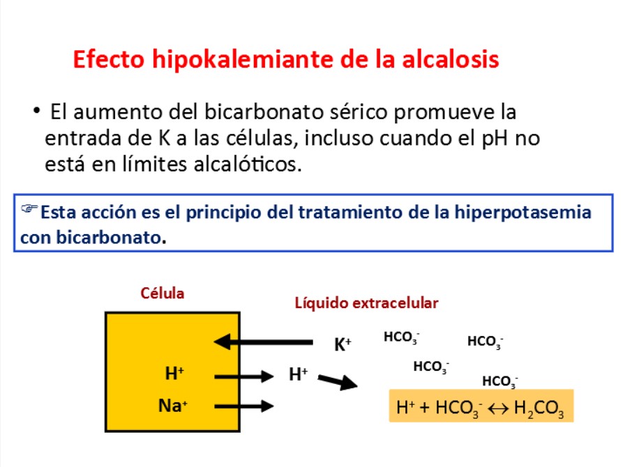 
Alcalosis metabólica: El aumento del bicarbonato sérico promueve la entrada de K a las células, incluso cuando el pH no está en límites alcalóticos. Por el contrario, las alteraciones respiratorias del equilibrio ácido-base ejercen muy poco efecto en la distribución transcelular de K. Esta acción es el principio del Tto. De la hiperpotasemia con bicarbonato.
El movimiento de K al interior de la célula, generalmente disminuye poco la concentración palsmática de potasio (a menos que se produzcan unas pérdidas urinarias o intestinales concomitantes). Esta falta relativa de efecto se debe en parte a que hay menos amortiguación celular (y, por lo tanto, menos movimiento transcelular de H) en la alcalosis metabólica que en la acidosis (33% frente a 57%). Tampoco se observan grandes cambios en la concentración plasmática de K en la acidosis y alcalosis respiratorias por causas poco conocidas.

