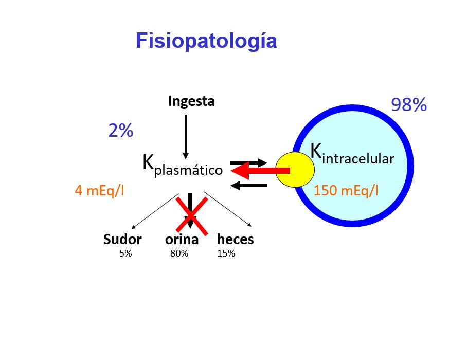 En relación a la fisiopatología, las causas de hiperpotasemia vienen dadas por una salida importante de potasio del interior de la célula o una alteración en la eliminación renal del potasio.