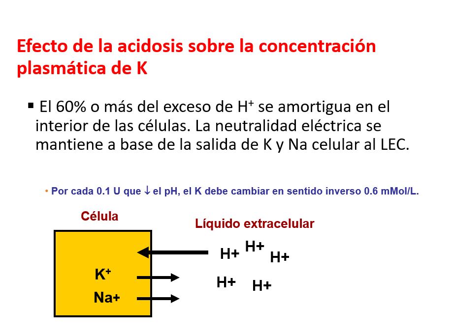Acidosis metabólica: el exceso de hidrogeniones en el medio extracelular favorece su entrada en las células en intercambio por K.  
El 60% o más del exceso de H+ se amortigua en el interior de las células. La neutralidad eléctrica se mantiene a base de la salida de K y Na celular al LEC. El resultado es un aumento variable de la concentración plasmática de K de 0.2 a 1.7 mEq/l por cada 0.1 U que disminuye el pH. La concentración de Na también se incrementa,  pero un aumento de unos cuantos mEq no tiene repercusión, ya que su valor basal es elevado (±140).
