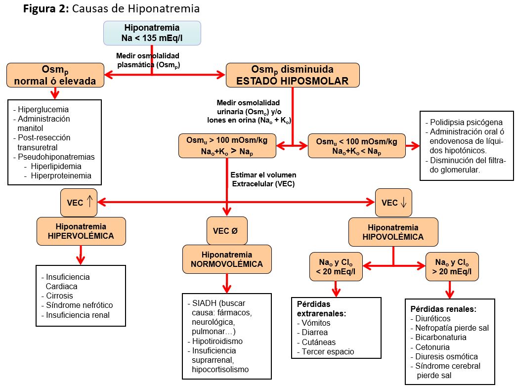 PDF) Manejo de la insuficiencia cardíaca refractaria a diuréticos con suero  salino hipertónico