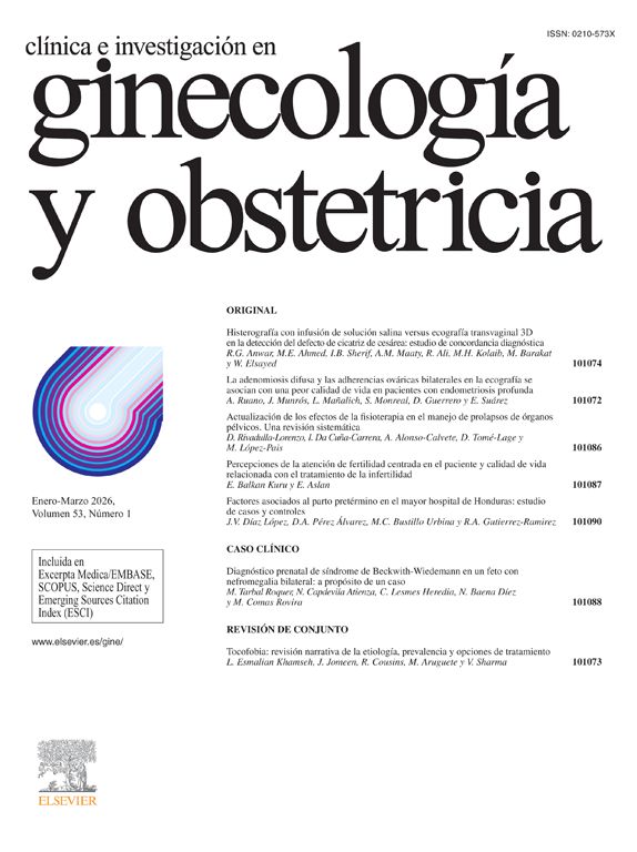 portada Clínica e Investigación en Ginecología y Obstetricia